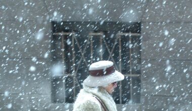 Orų prognozė savaitgaliui: stiprus vėjas ir mišrūs krituliai - Respublika.lt