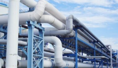 Donaldo Trumpo plane numatyta atkurti Rusijos naftos tiekimą į Europą - Respublika.lt