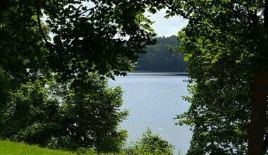Dėl moters žūties poilsiavietėje atsakys savivaldybė - Respublika.lt