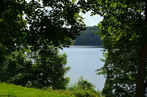 Dėl moters žūties poilsiavietėje atsakys savivaldybė - Respublika.lt