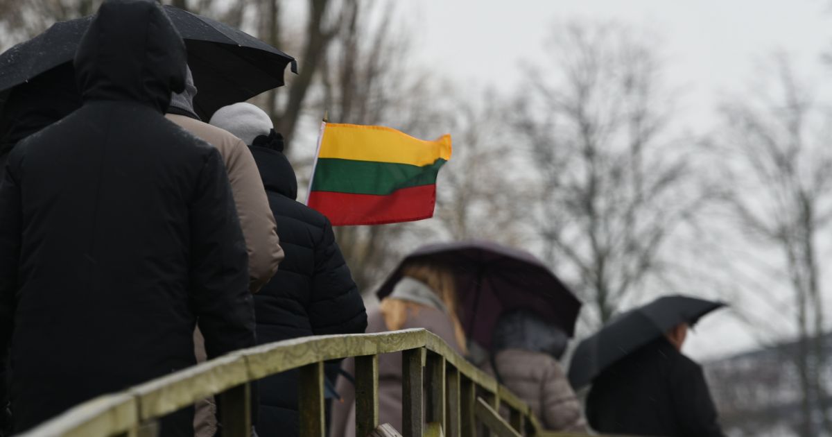 Lietuva, tėvyne mūsų, tau ir vėl nepasisekė su valdžia! - Respublika.lt