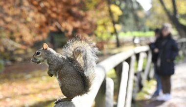 Gruodžio 3 d. vardadieniai ir kitos įdomybės - Respublika.lt