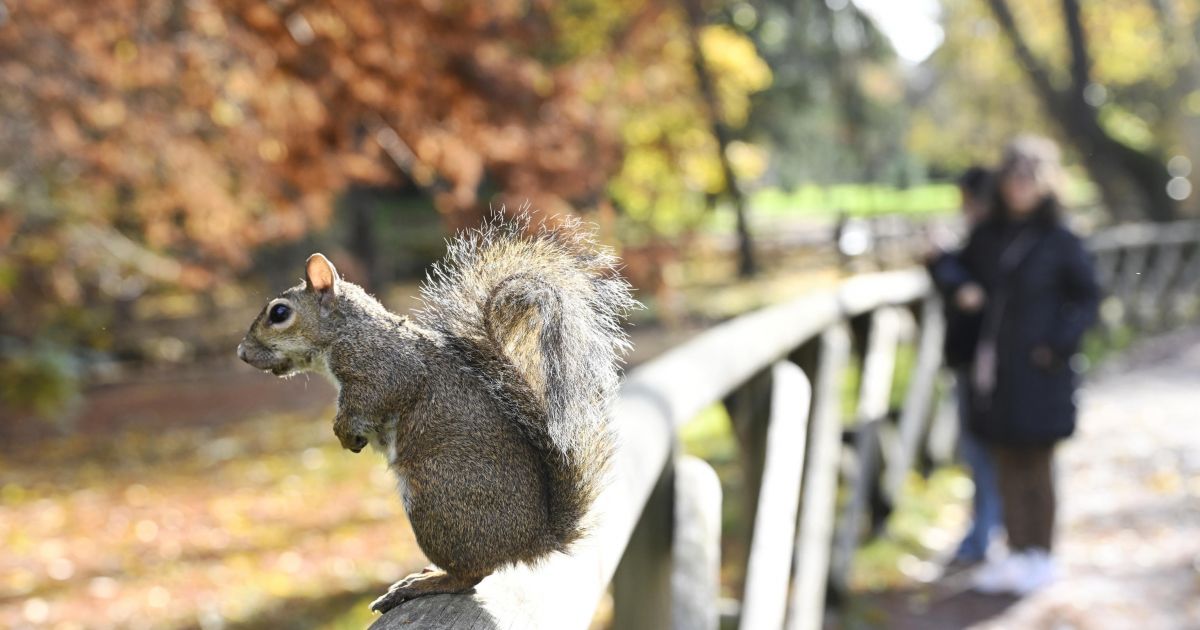Gruodžio 3 d. vardadieniai ir kitos įdomybės - Respublika.lt