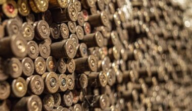 Iš sunkvežimio priekabos pavogta apie 20 tūkst. kariuomenei skirtų šovinių - Respublika.lt