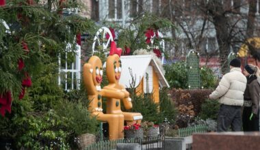 Sinoptikų prognozė savaitei: orai staigiai atšils - Respublika.lt