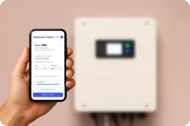 Ignitis savitarnos deklaravimo langas telefone.