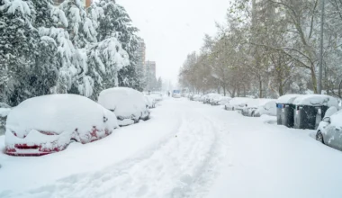 Žiema parodys savo nagus