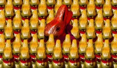 Nors kakavos pupelių kainos krito, šokolado kainų artėjant šventėms tai nepaveikė