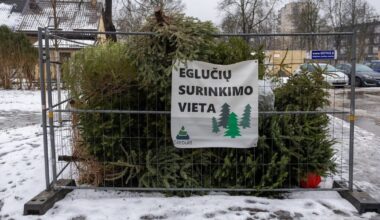 Vilniečiai nupuoštas kalėdines eglutes galės pristatyti į 131 specialią surinkimo aikštelę