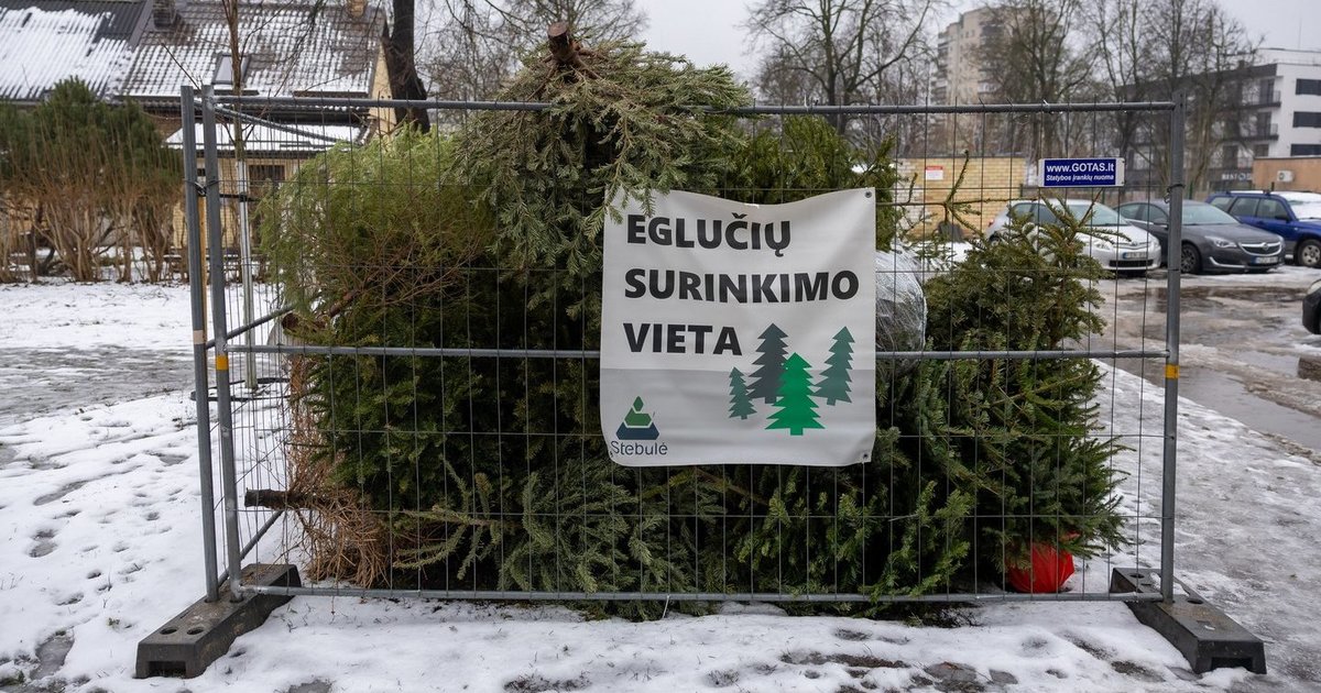 Vilniečiai nupuoštas kalėdines eglutes galės pristatyti į 131 specialią surinkimo aikštelę