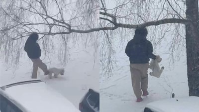 Kaunietė spardė ir už sprando tampė šunį