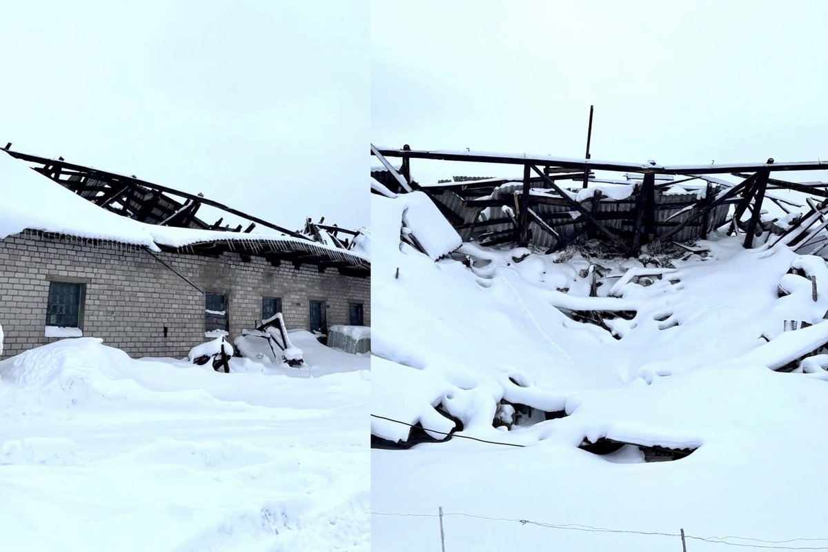 Dėl sunkaus sniego Plungės rajone įgriuvo ūkinių pastatų stogai
