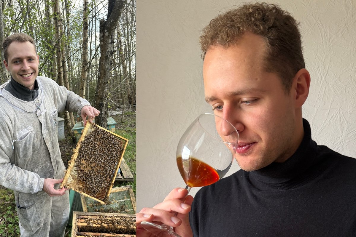 Jauniausias pasaulyje medaus someljė apie dažniausias klaidas