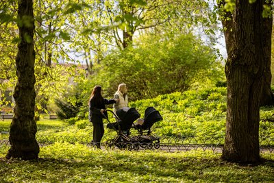 Vilniečiams renkant vardus vaikams kūrybingumo netrūksta