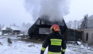 Aiškėja naujos detalės apie siaubingą gaisrą: sudegė gyvūnų prieglauda su gyvūnais