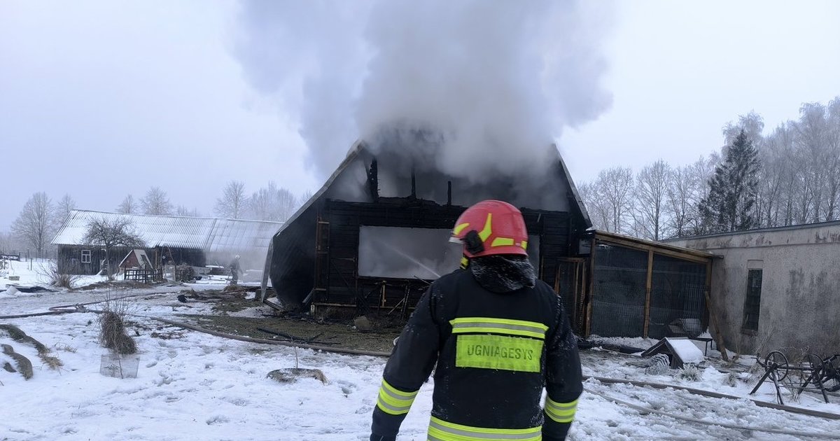 Aiškėja naujos detalės apie siaubingą gaisrą: sudegė gyvūnų prieglauda su gyvūnais