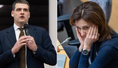 Čmilytė-Nielsen negaili kritikos šalies vadovams: nedrįsta pasmerkti smurtinio Žemaitaičio elgesio