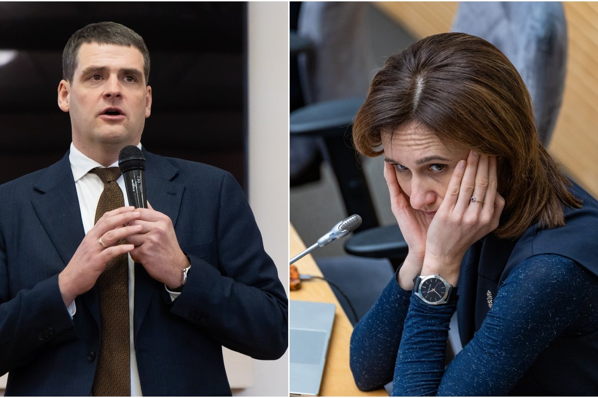 Čmilytė-Nielsen negaili kritikos šalies vadovams: nedrįsta pasmerkti smurtinio Žemaitaičio elgesio