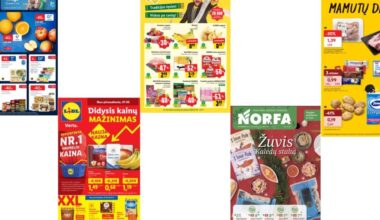 2-osios savaitės akcijų leidiniai: Įsisiūbuoja / 2026-01-07