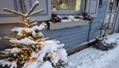 Žiema neatsitraukia: ciklonas atneša sniegą ir stiprų vėją