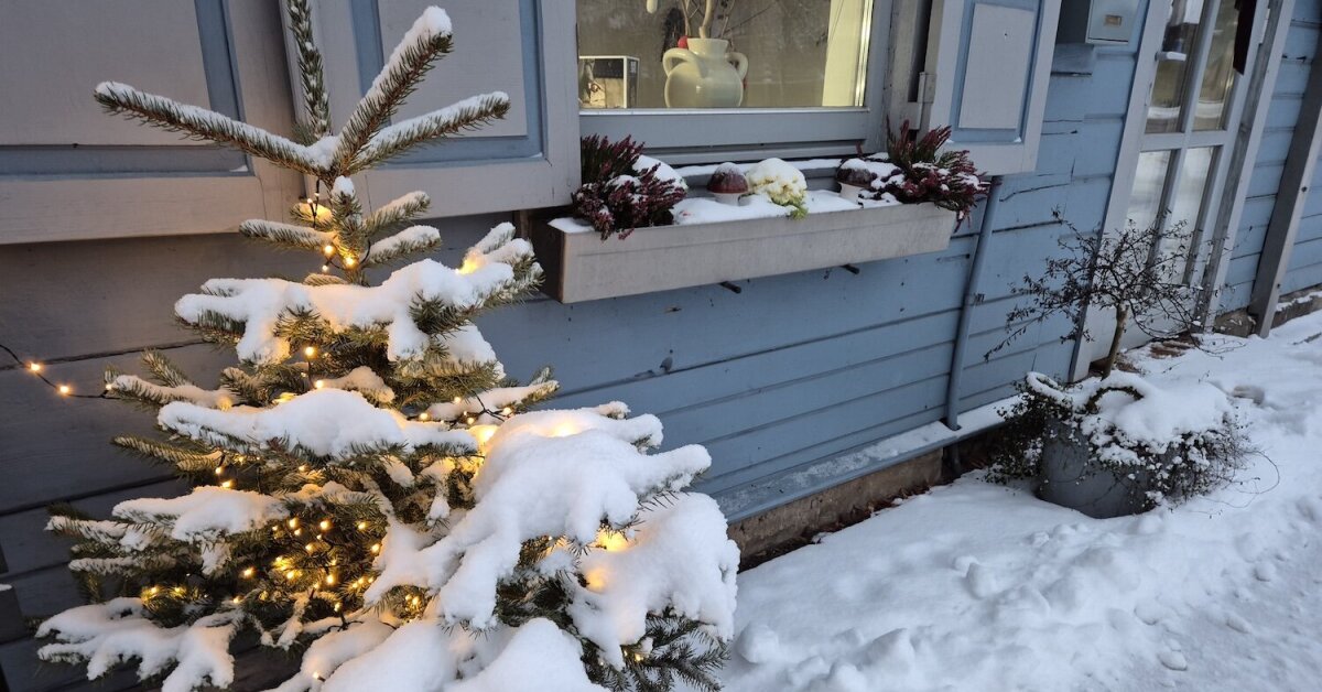 Žiema neatsitraukia: ciklonas atneša sniegą ir stiprų vėją