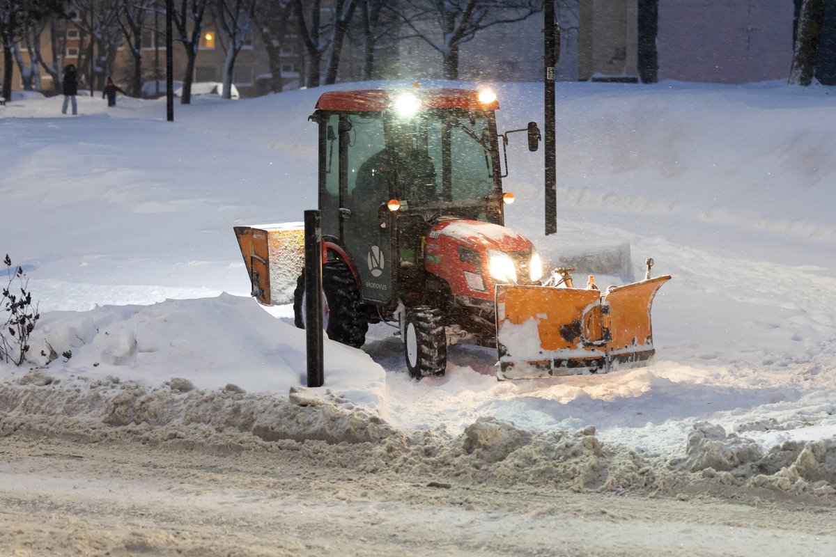 Po stingdančio šalčio – naujausios klimatologo prognozės: turi žinią ir dėl vasario - Delfi