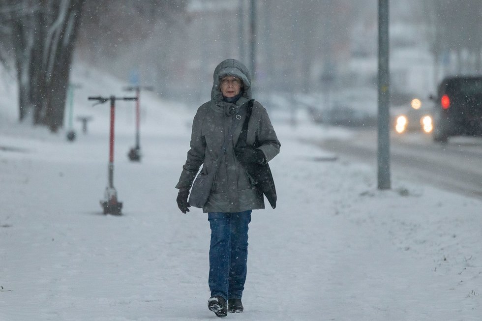 nuotr. BNS) (nuotr. Roberto Riabovo)