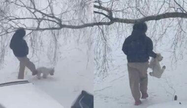 Kaune – žiaurus elgesys su gyvūnu: užfiksavo spardant šunį