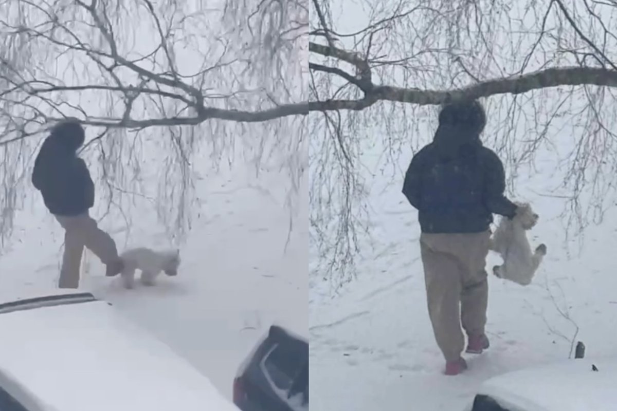 Kaune – žiaurus elgesys su gyvūnu: užfiksavo spardant šunį