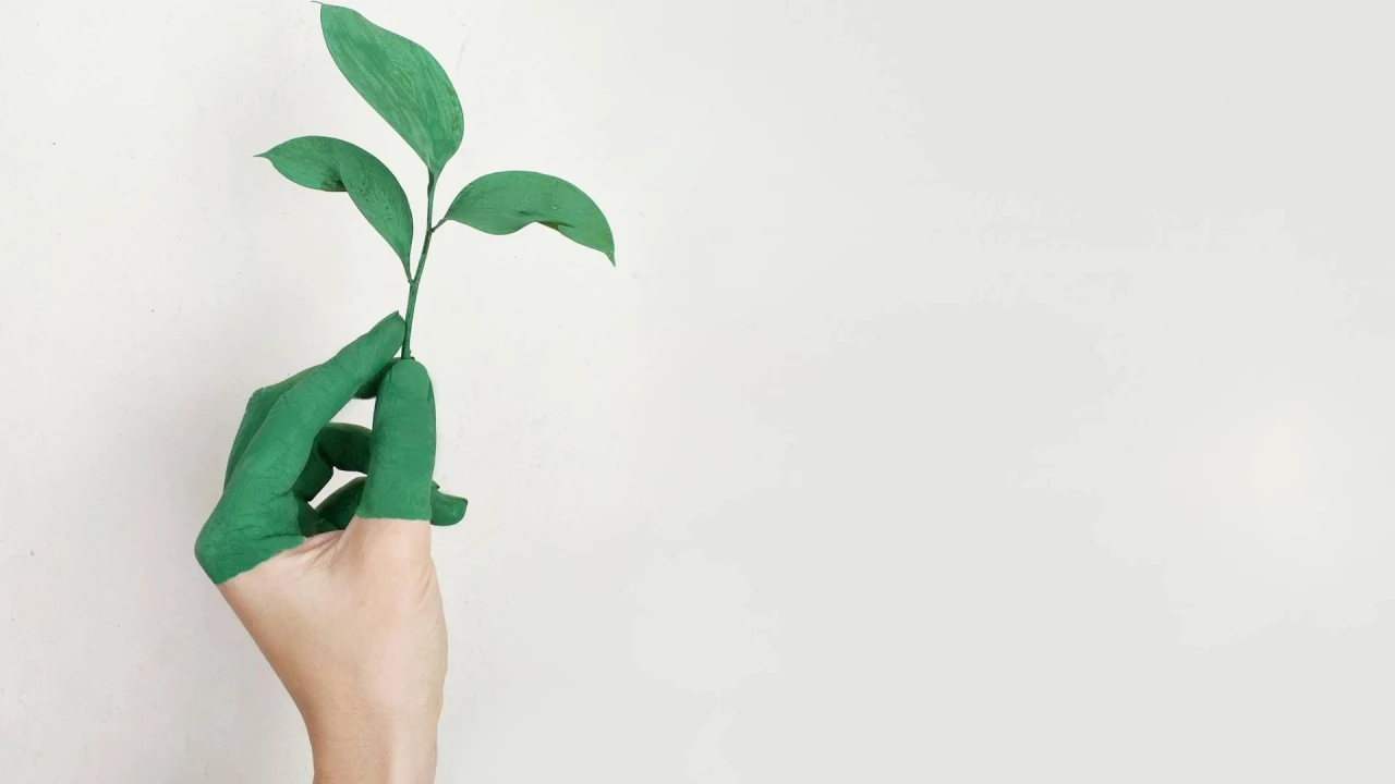 Tvarumo strategijos stuburas – kasdieniai sprendimai