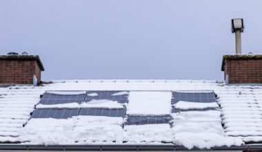 Pakeistos paramos saulės elektrinėms taisyklės, bet didžiausias pavojus investuotojui ne čia