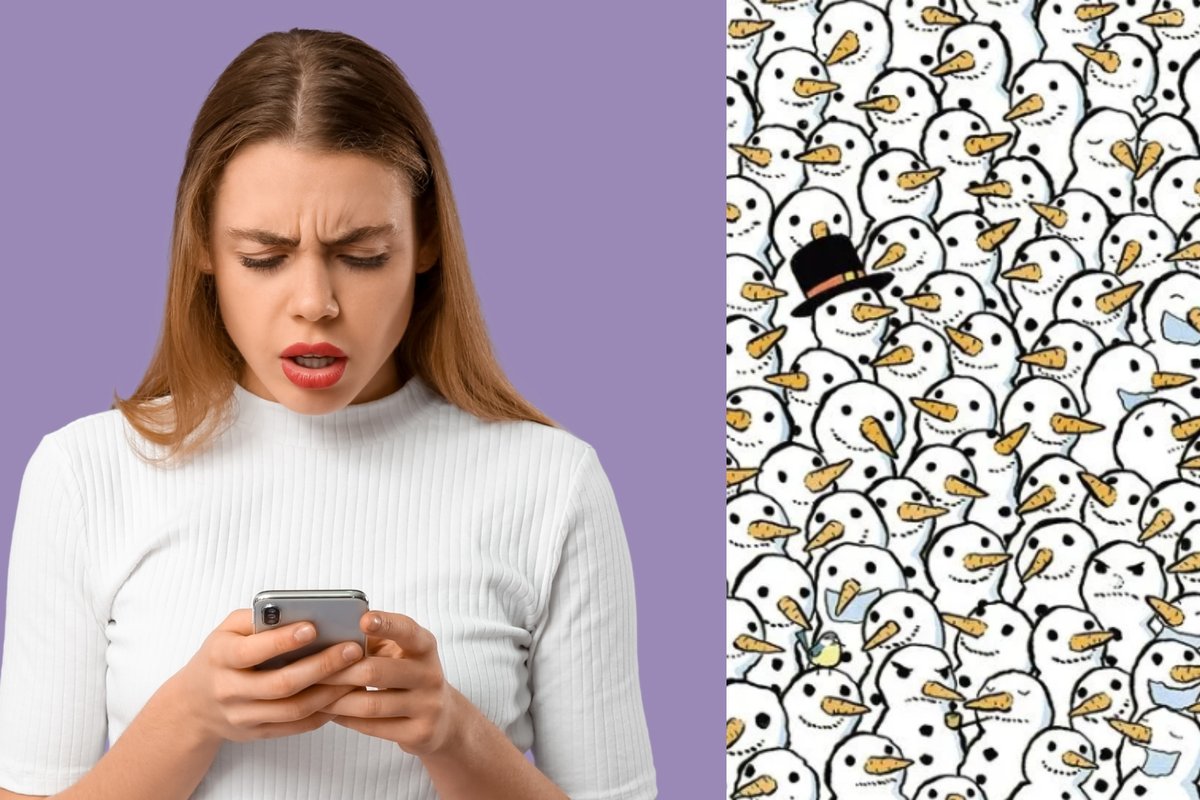 Raskite pasislėpusią mešką – greičiau nei 14 sekundžių