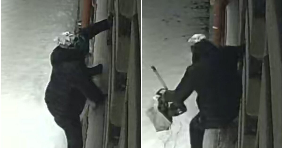 Suimtas asmuo, pavogęs įvairius daiktus iš Kultūros ministerijos