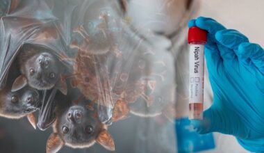 Indijoje viešintys lietuviai apie Nipos viruso protrūkį: „Apie tai sužinojome iš Lietuvos“ | Gyvenimas