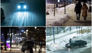 Lijundra<br>Lrytas koliažas