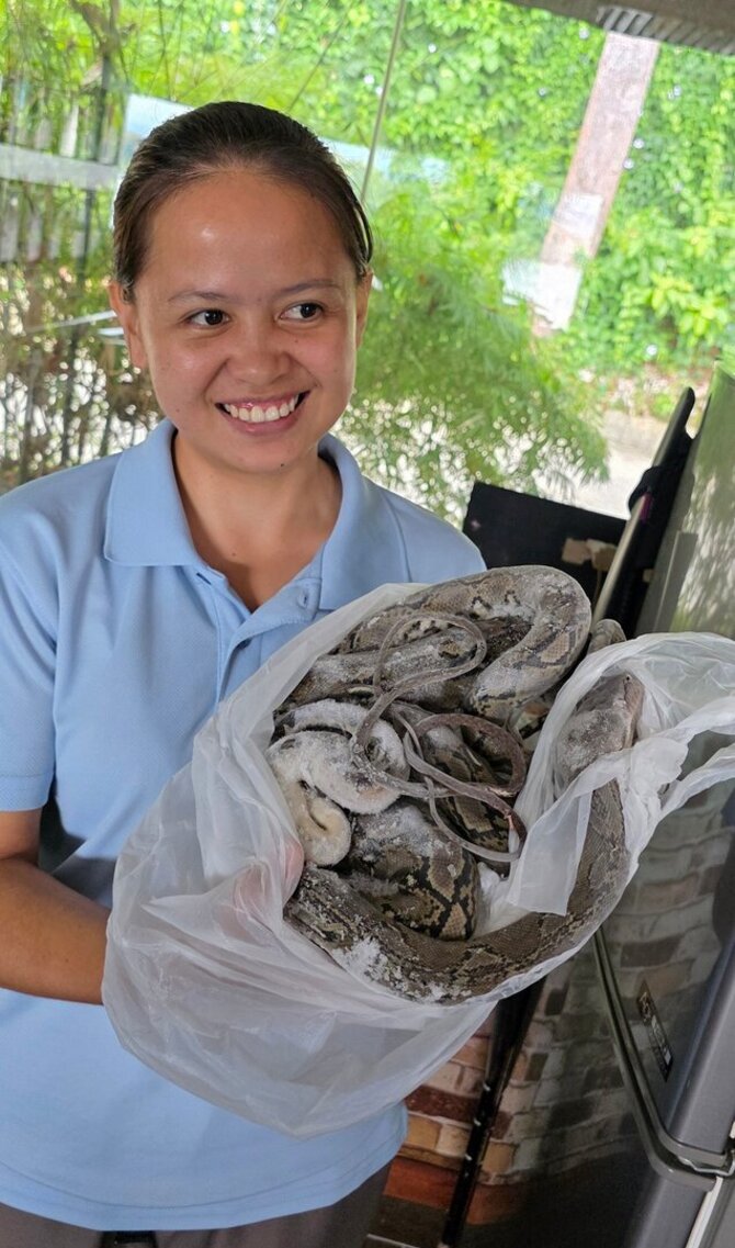 Asmeninio archyvo nuotr. / Angel su užšaldyta gyvačių raizgalyne