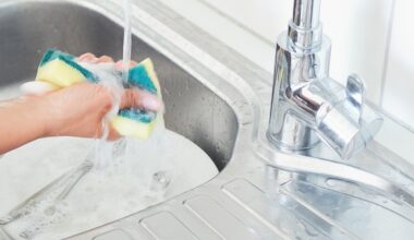 Priemonės, kurios susidoroja su mikrobais indų kempinėlėje