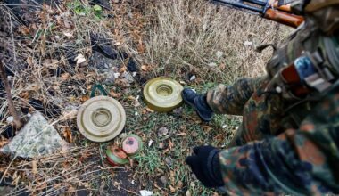 Kovinis išminuotojas griežtai įvertino vienos iš „Fegdos“ savininkų sėkmę: tai korupcijos bomba - Delfi