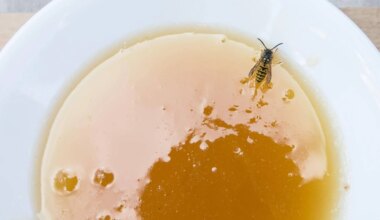 EIB: rekordinės Lietuvos įmonių investicijos ir pesimizmas dėl politinės aplinkos