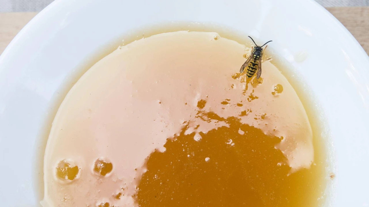 EIB: rekordinės Lietuvos įmonių investicijos ir pesimizmas dėl politinės aplinkos