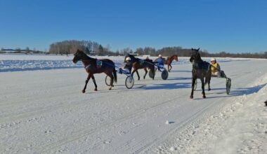 Kandant šalčiams įvyko legendinės Sartų žirgų lenktynės | Sportas