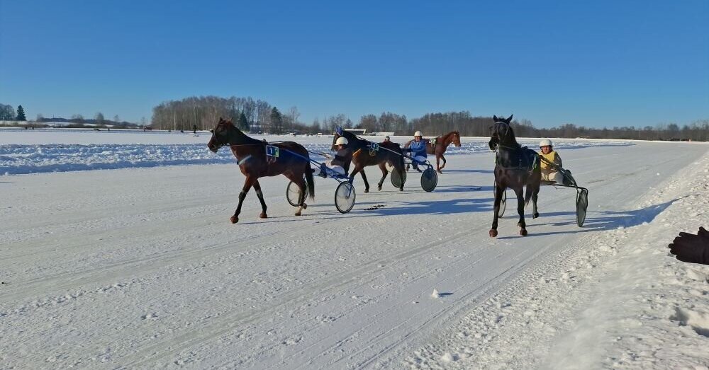 Kandant šalčiams įvyko legendinės Sartų žirgų lenktynės | Sportas