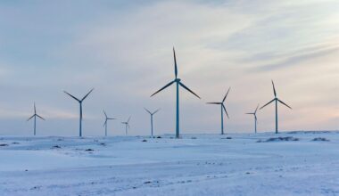 gruodį dėl rekordinės vėjo elektrinių gamybos elektra pigo 24 proc.