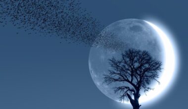 Vasario horoskopas Šauliui: iššūkiai asmeniniame gyvenime ir iš praeities sugrįžtantys žmonės | Gyvenimas