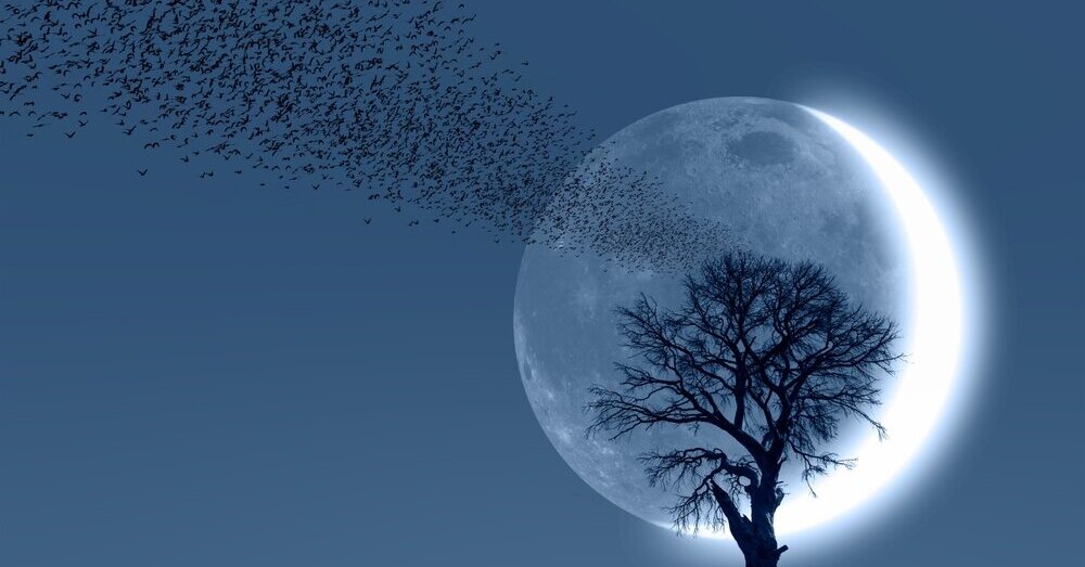 Vasario horoskopas Šauliui: iššūkiai asmeniniame gyvenime ir iš praeities sugrįžtantys žmonės | Gyvenimas