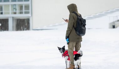 Lietuvoje toliau karaliaus tikra žiema: šaltis atslūgs tik savaitės gale