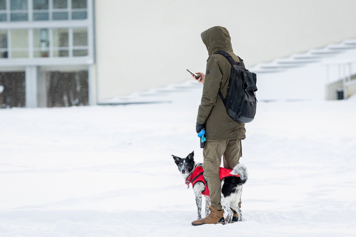 Lietuvoje toliau karaliaus tikra žiema: šaltis atslūgs tik savaitės gale