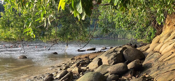 Asmeninio archyvo nuotr. / Gajos salos pakrantė