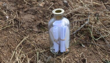 Žemėje rasta žinutė butelyje pribloškė net specialistus: to pamatyti nesitikėjo