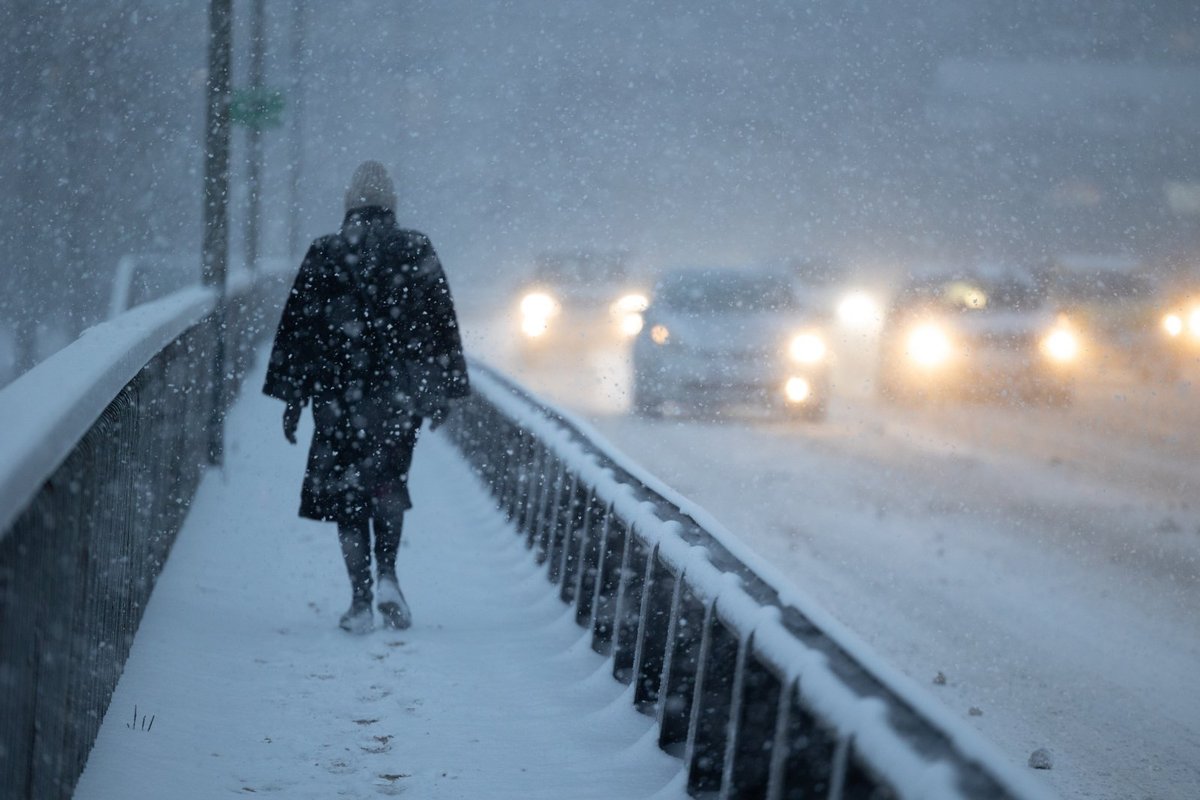 Dėl sniego Plungės rajone bus skelbiama ekstremalioji situacija